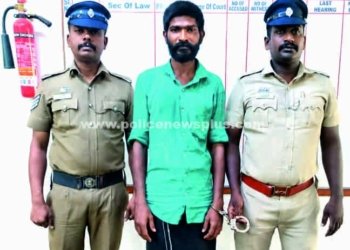 காரைக்குடியில் 5 பிடியானைகள் குற்றவாளிகள் கைது