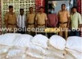 புகையிலைப் பொருட்கள் பறிமுதல். ஒருவர் கைது