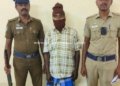 நிலத்தகராறில் மூதாட்டி கொலை. ஒருவர் கைது