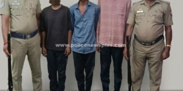 கஞ்சா கடத்தி வந்த 3 வாலிபர்கள் கைது
