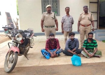 காட்டுப்பன்றி இறைச்சி வைத்திருந்த 3 பேருக்கு  அபராதம்