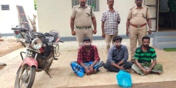 காட்டுப்பன்றி இறைச்சி வைத்திருந்த 3 பேருக்கு அபராதம்