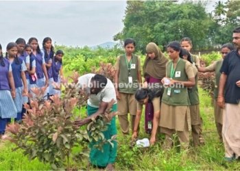 நாட்டு மரங்கள் குறித்து சிறப்பு வேளாண் அகப்பயிற்சி முகாம்