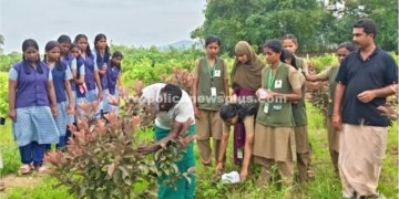நாட்டு மரங்கள் குறித்து சிறப்பு வேளாண் அகப்பயிற்சி முகாம்
